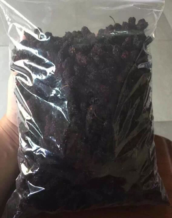 桑葚干成品 桑葚烘干機(jī)